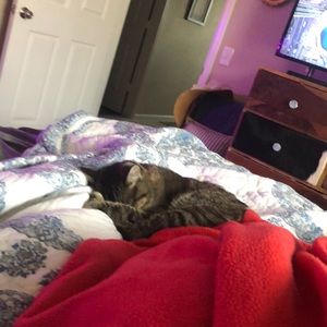 Meet your Posher, Katherine